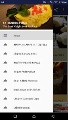 Best Fat Burning Foods android App screenshot 0